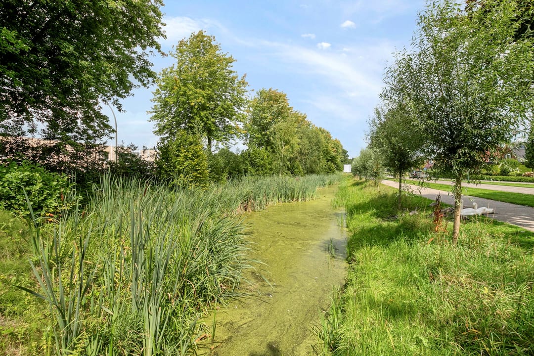 Foto 47 van Marktstraat 60