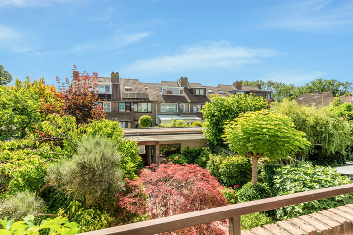 Foto 31 van Droogbloem 10