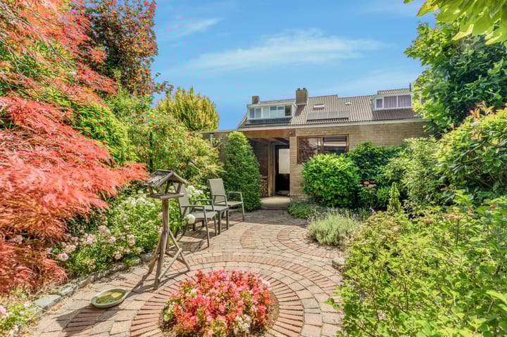 Foto 44 van Droogbloem 10