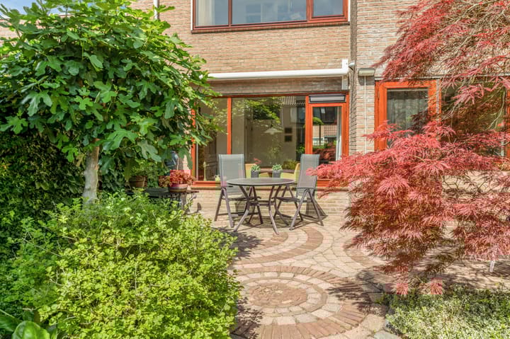 Foto 46 van Droogbloem 10