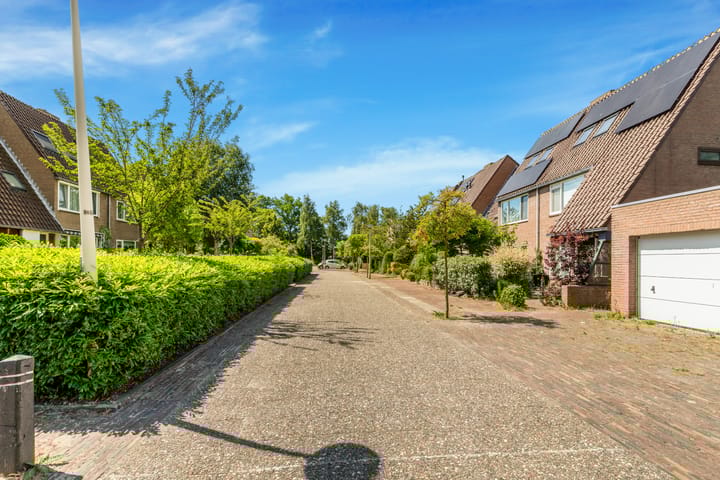 Foto 50 van Droogbloem 10