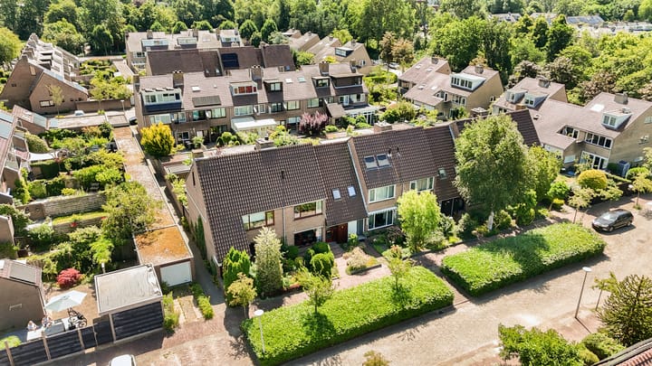 Foto 52 van Droogbloem 10