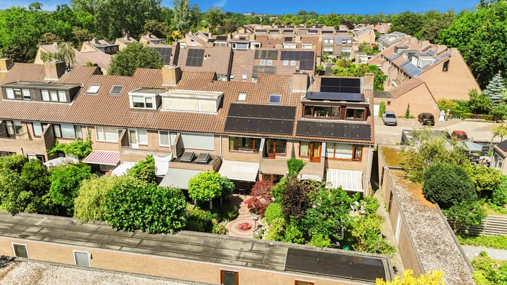 Foto 51 van Droogbloem 10