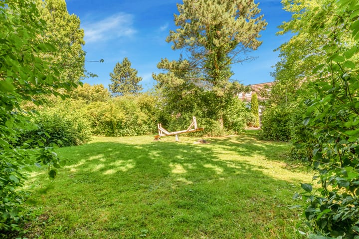 Foto 54 van Droogbloem 10