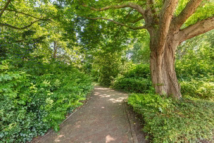 Foto 53 van Droogbloem 10