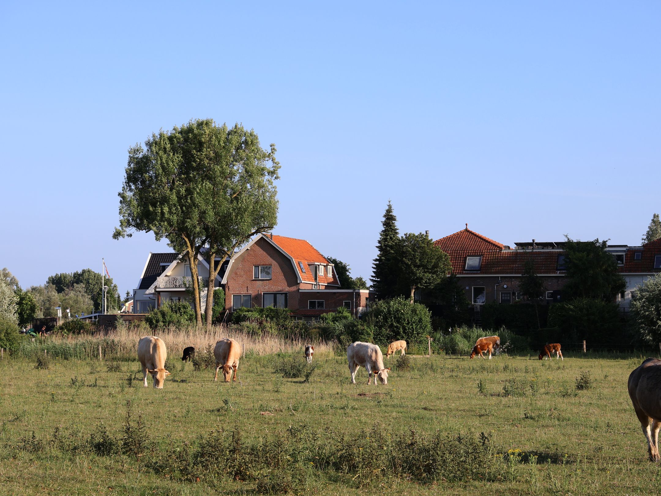 Foto 3 van Hoekeinde 27