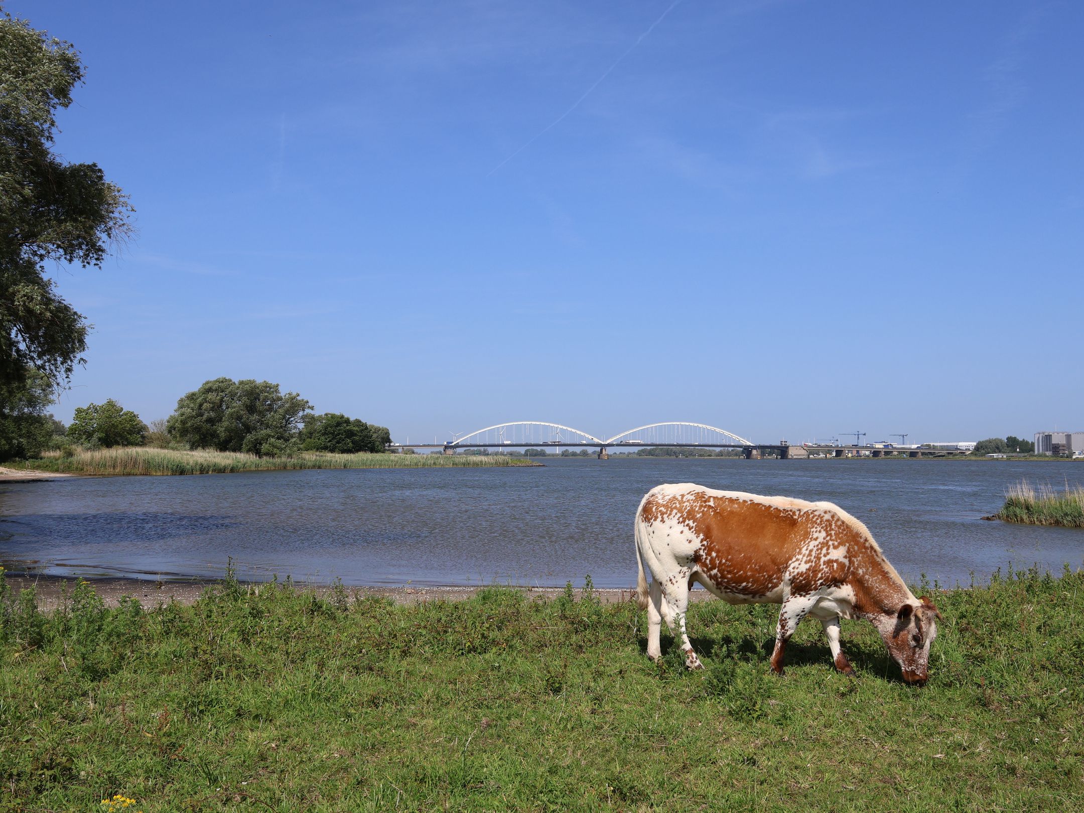 Foto 42 van Hoekeinde 27