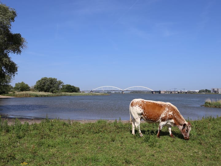 Foto 42 van Hoekeinde 27