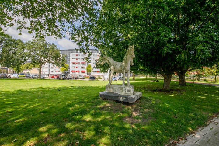 Photo 33 of Dakotaweg 217