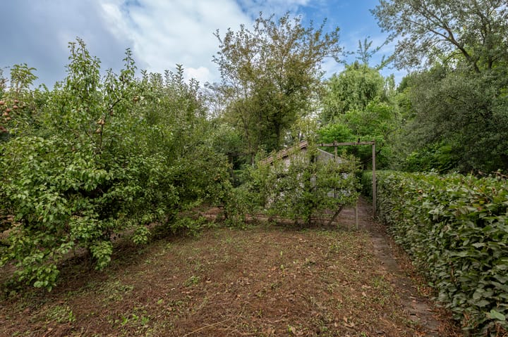 Foto 54 van Zandstraat 26-A