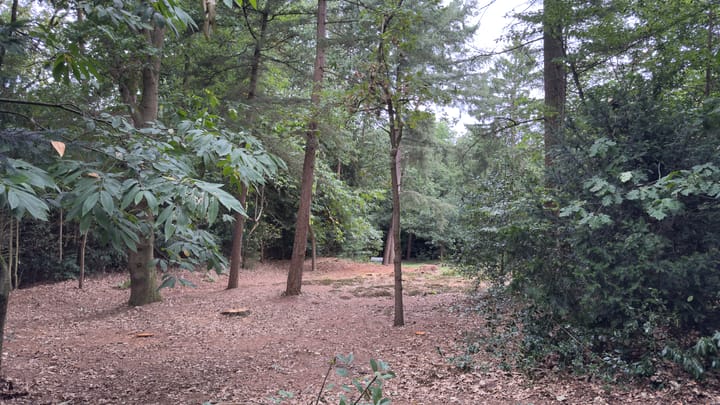 Photo 7 of van Galenlaan 38