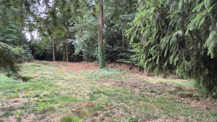 Photo 10 of van Galenlaan 38