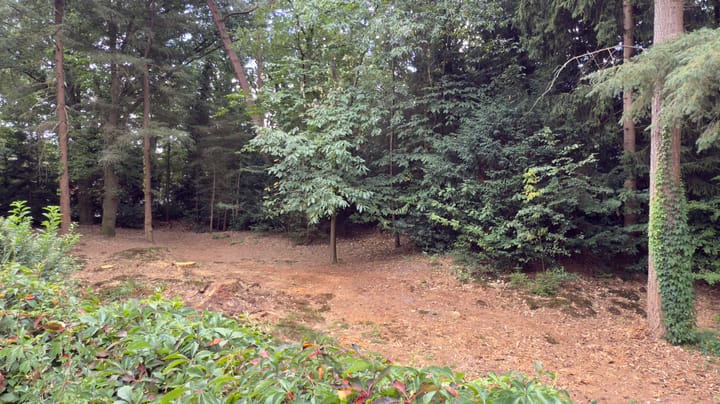 Photo 12 of van Galenlaan 38