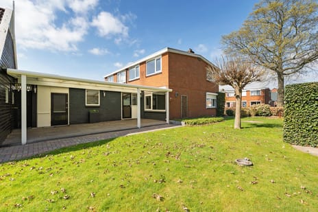 undefined main image