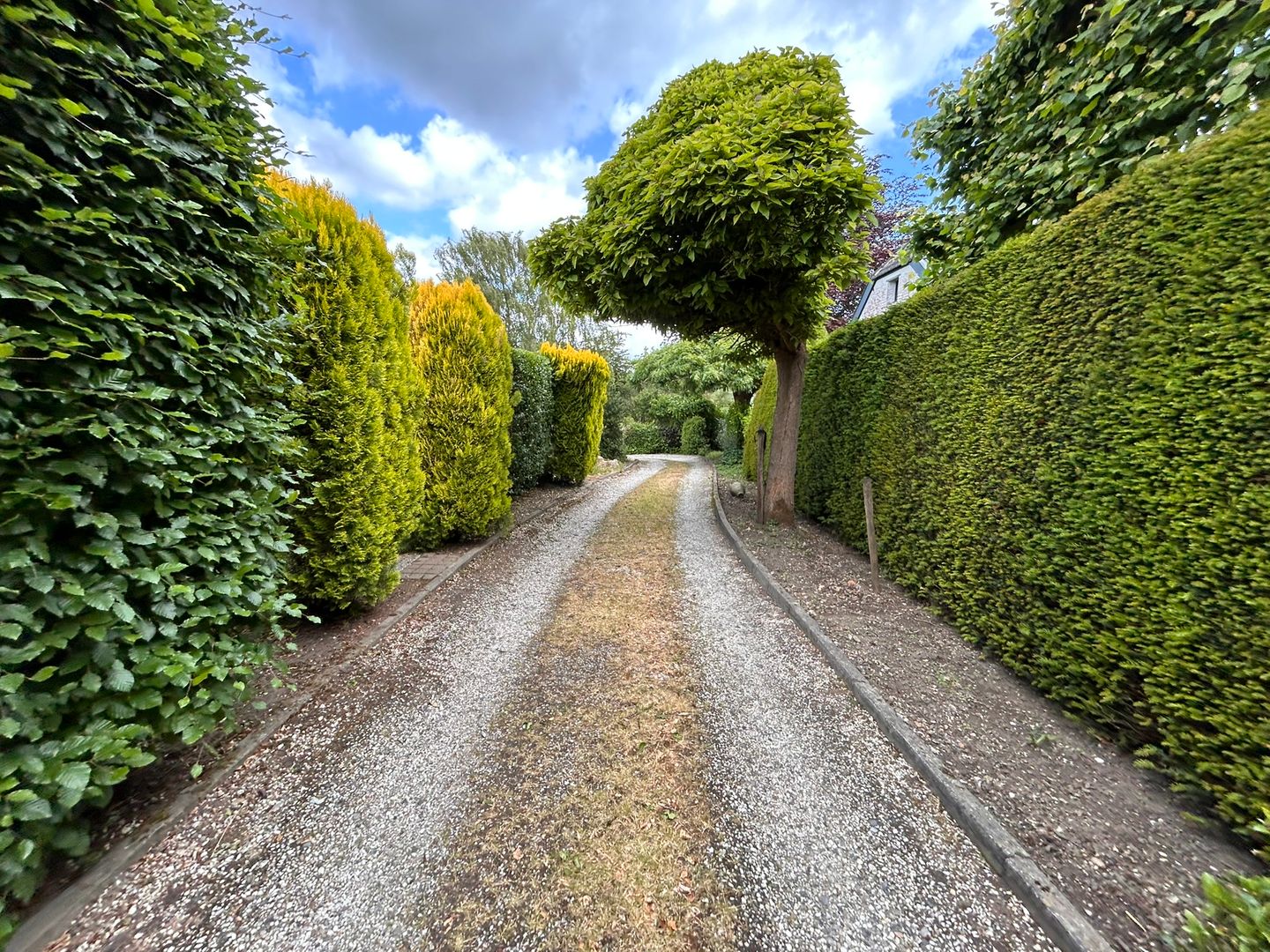 Bekijk foto 5 van Strucht 52