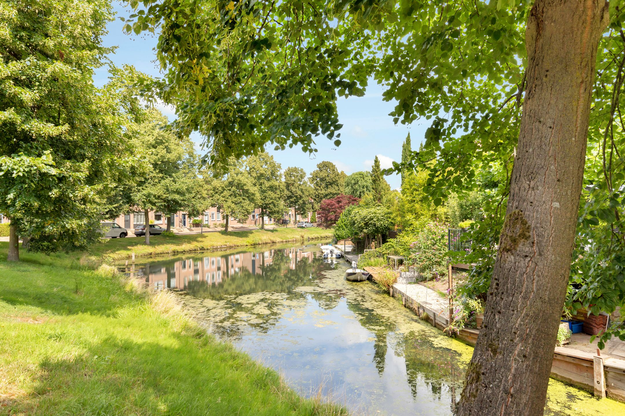 Foto 24 van Griend 1