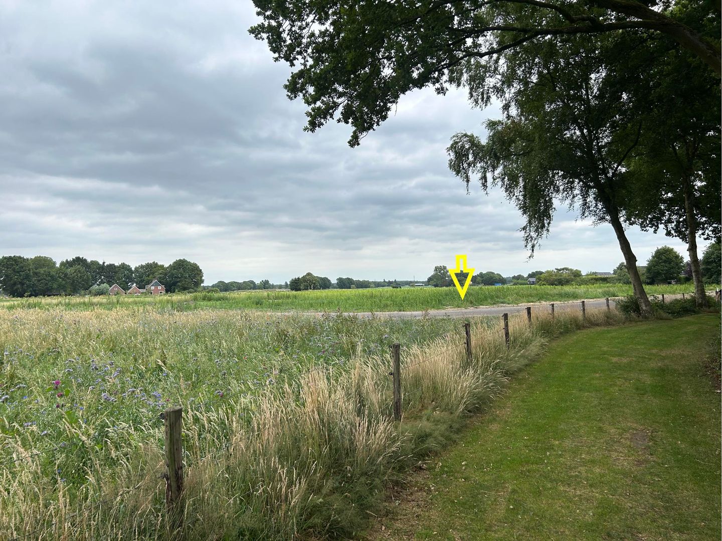 Foto 4 van De Grave - Kavel 52