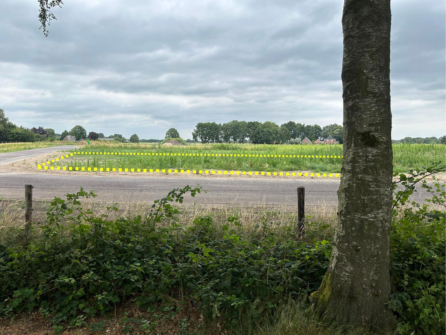 Foto 5 van De Grave - Kavel 52