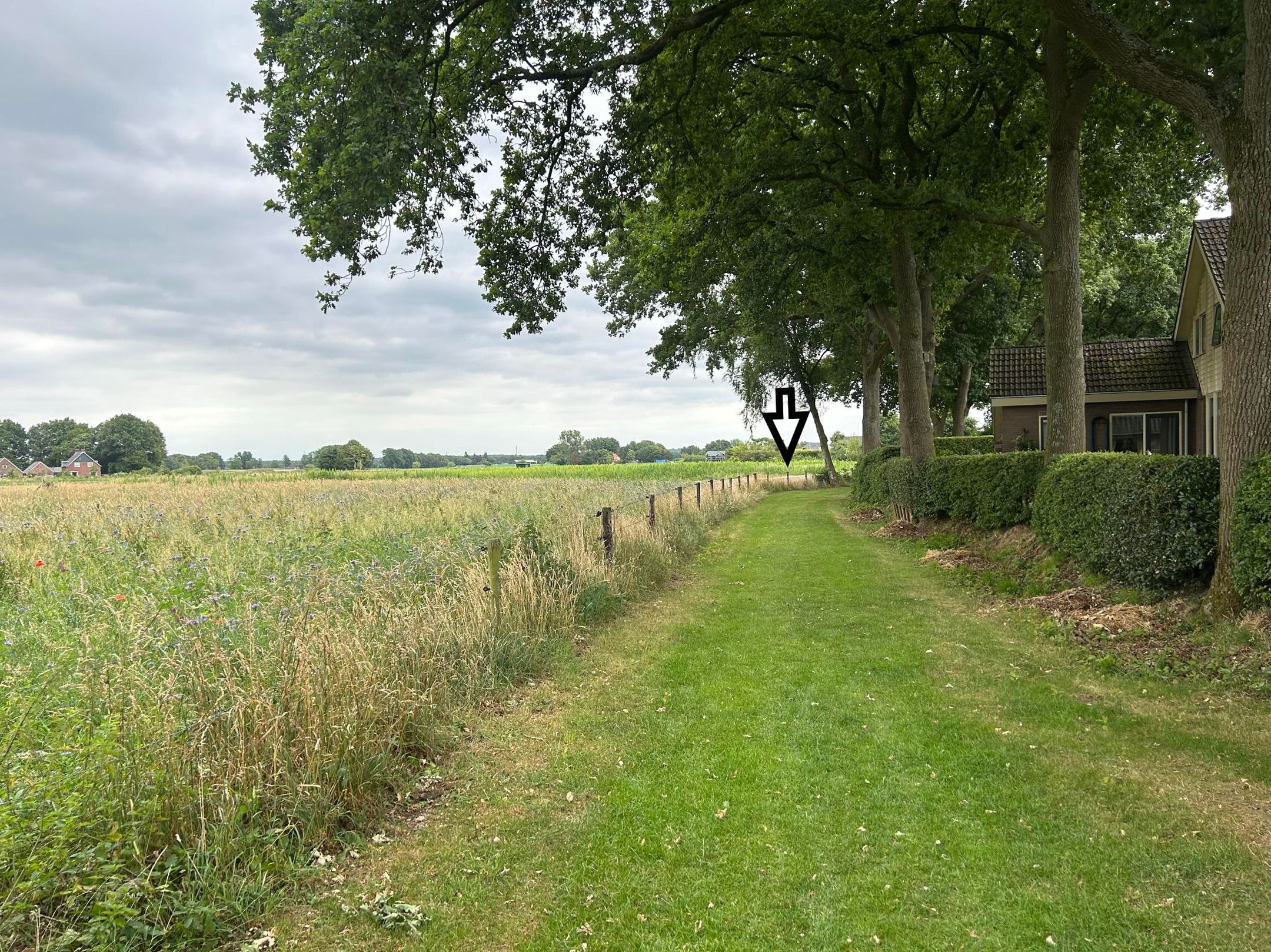 Foto 6 van De Grave - Kavel 52