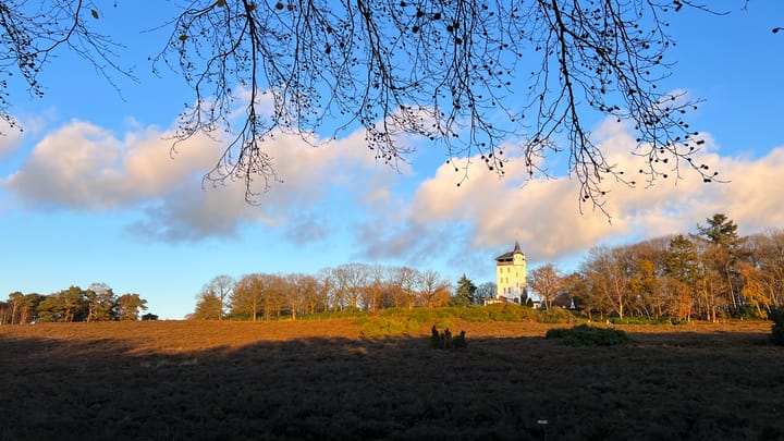 Photo 10 of De Grave - Kavel 52