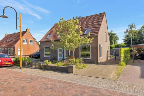 undefined main image