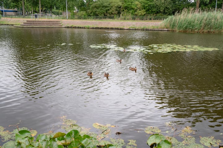 Foto 39 van Birkholm 164