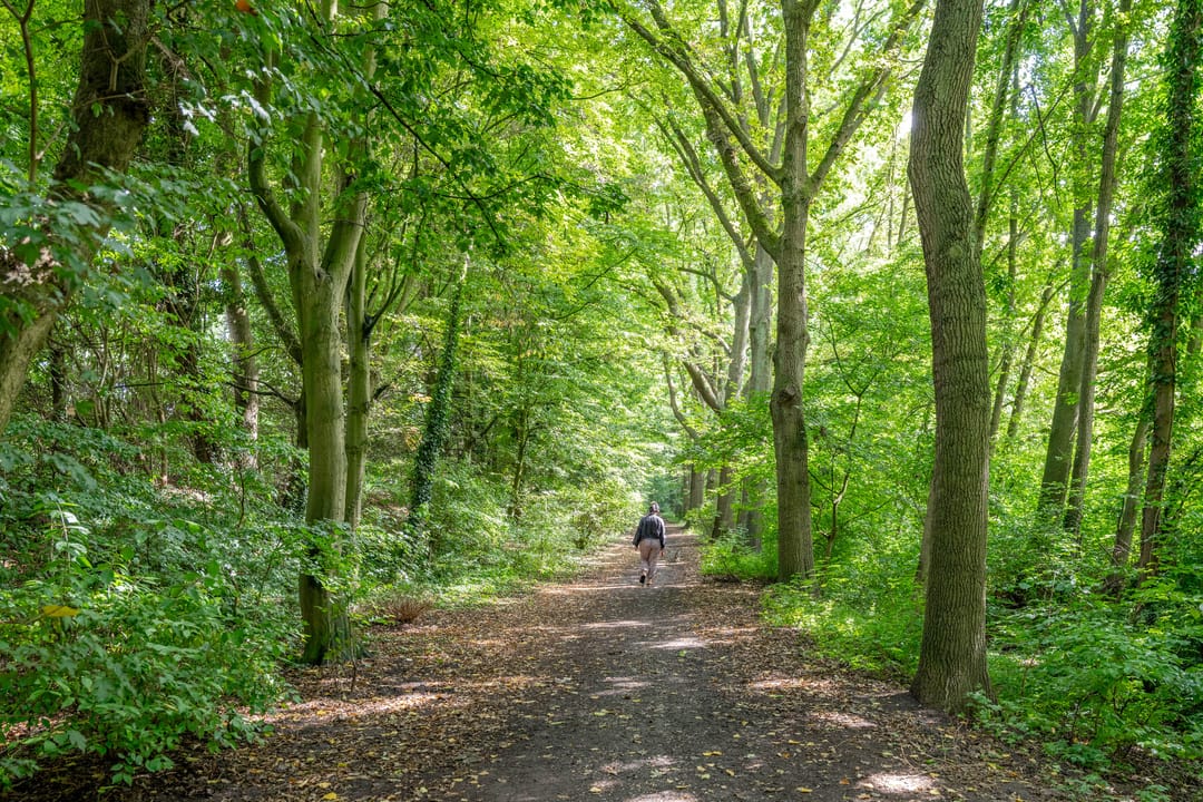 Foto 38 van Karel Doormanlaan 176