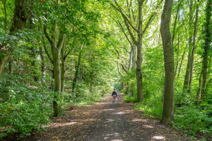 Foto 38 van Karel Doormanlaan 176