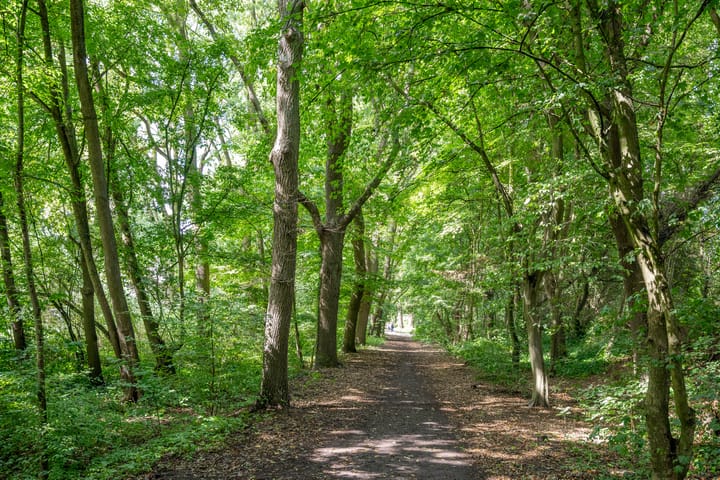 Foto 37 van Karel Doormanlaan 176