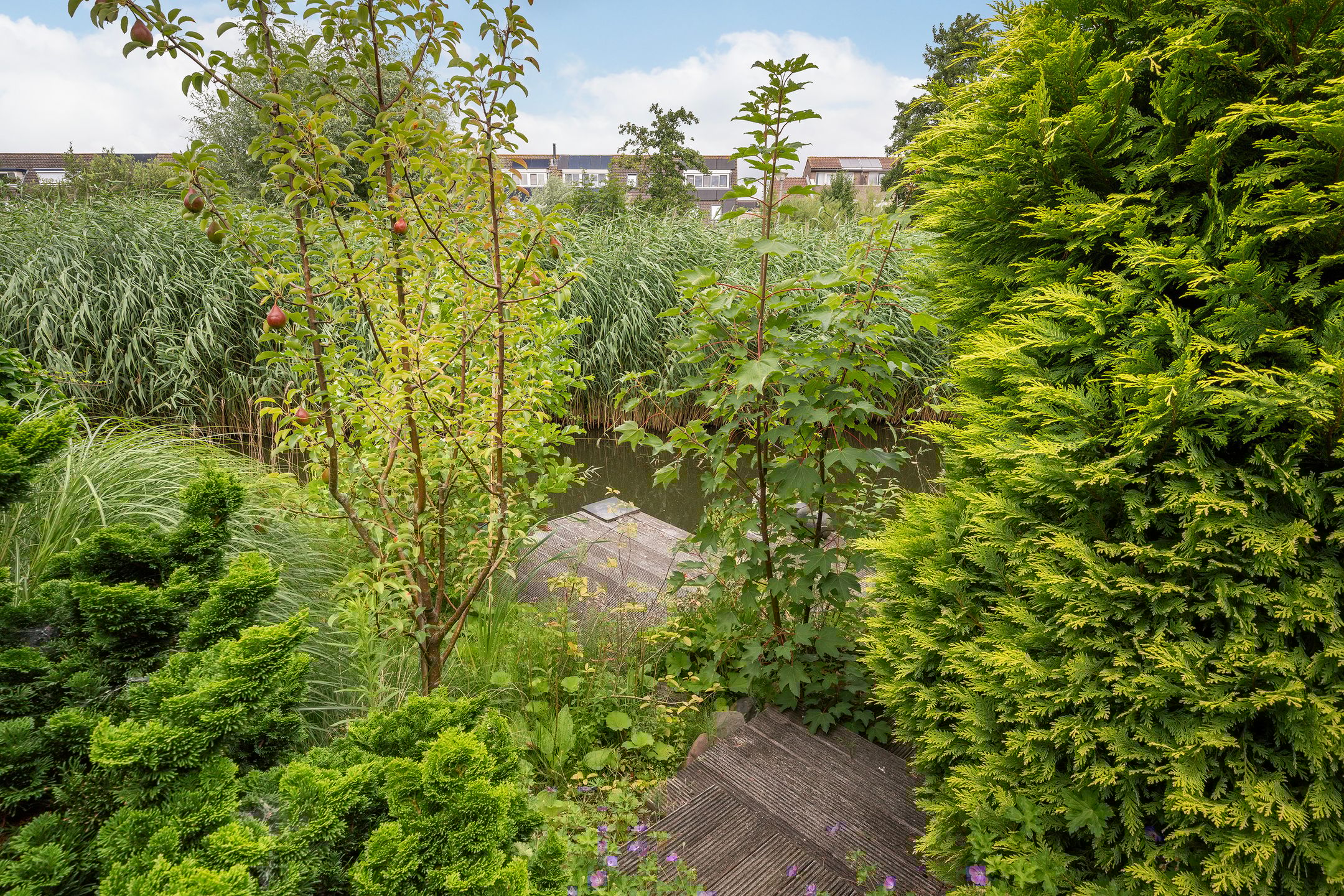 Foto 24 van Pruimengaarde 18