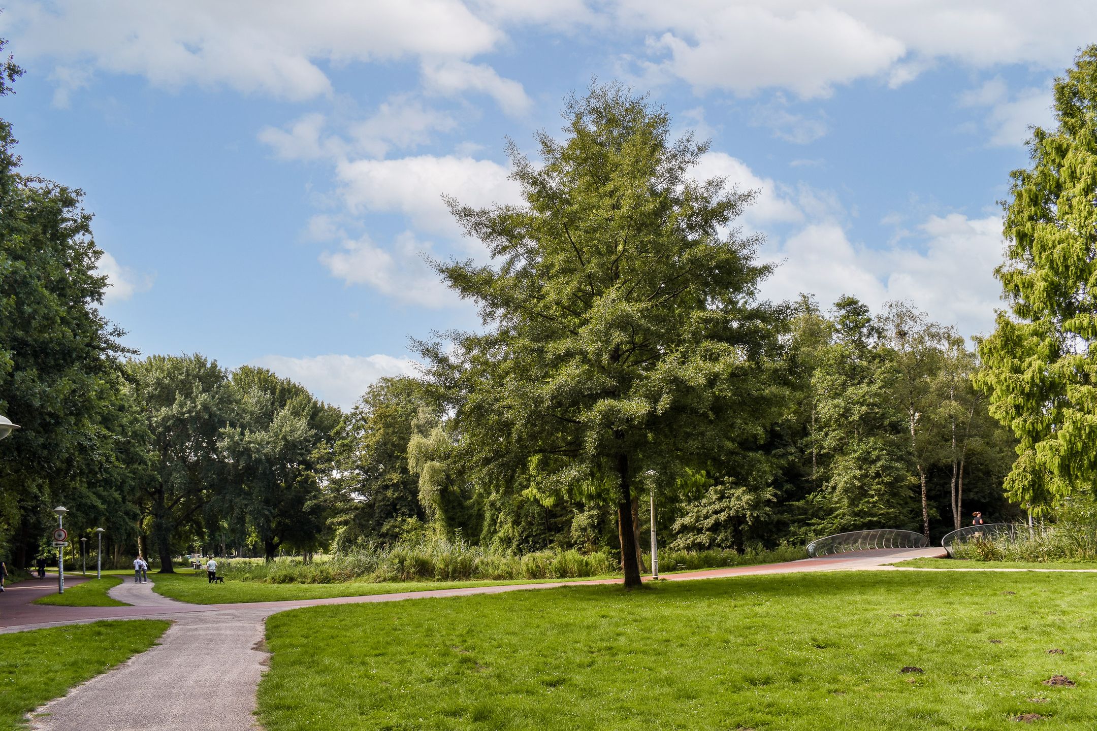 Photo 21 of Orteliuskade 70-1