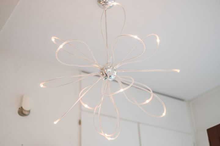 Foto 14 van Grasvogel 15