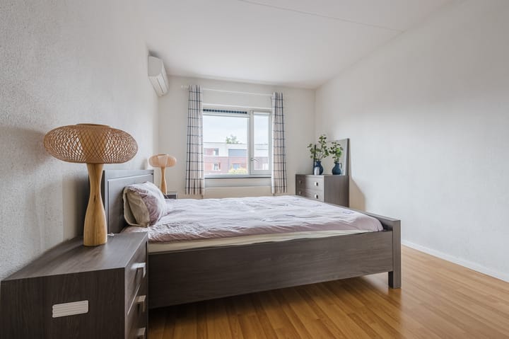 Foto 18 van Grasvogel 15