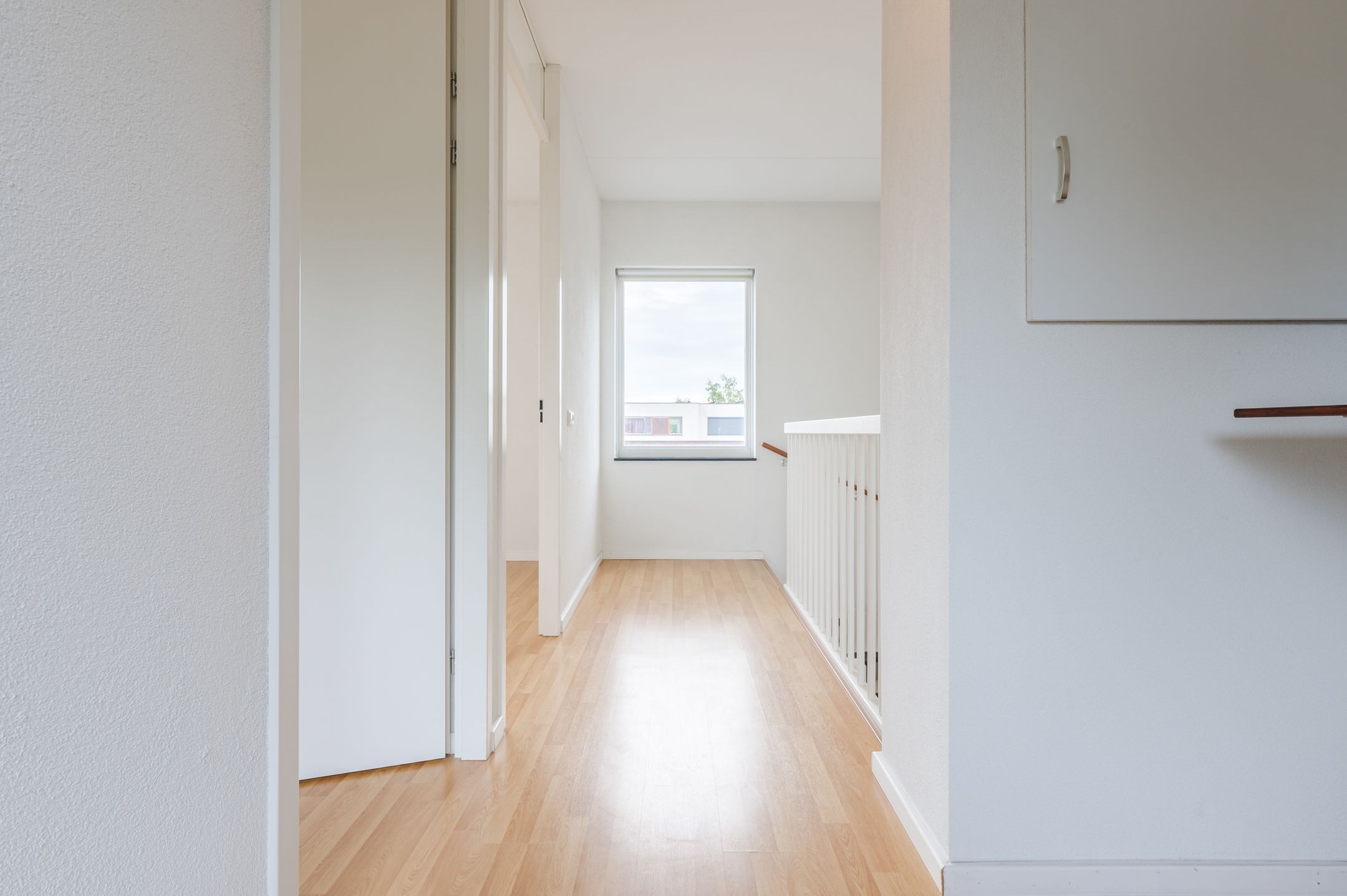 Foto 36 van Grasvogel 15