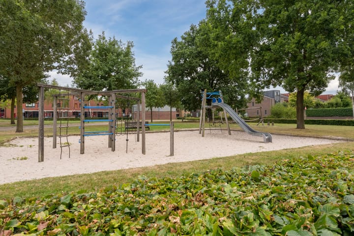 Foto 45 van Grasvogel 15