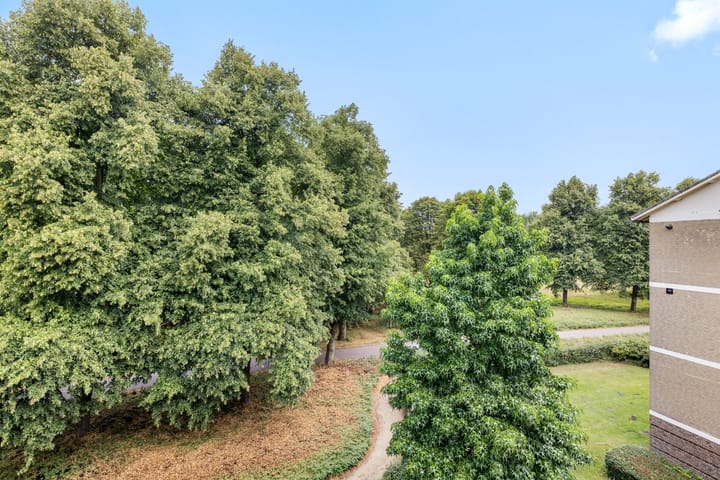 Foto 30 van Scheltemaweg 10