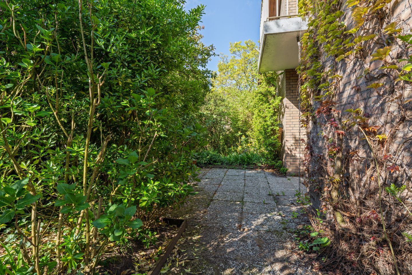 Foto 49 van Henegouwenlaan 9