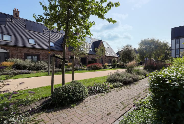 Foto 6 van Beekforel 18