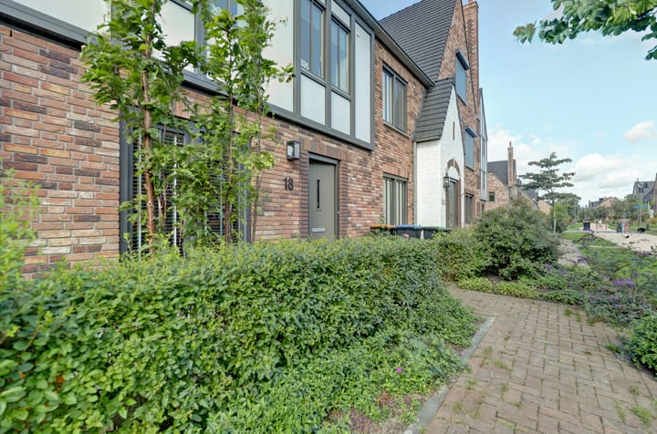 Foto 9 van Beekforel 18