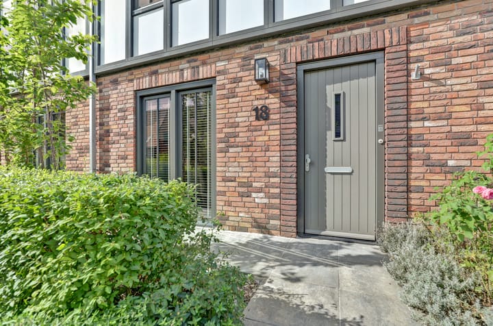 Foto 10 van Beekforel 18