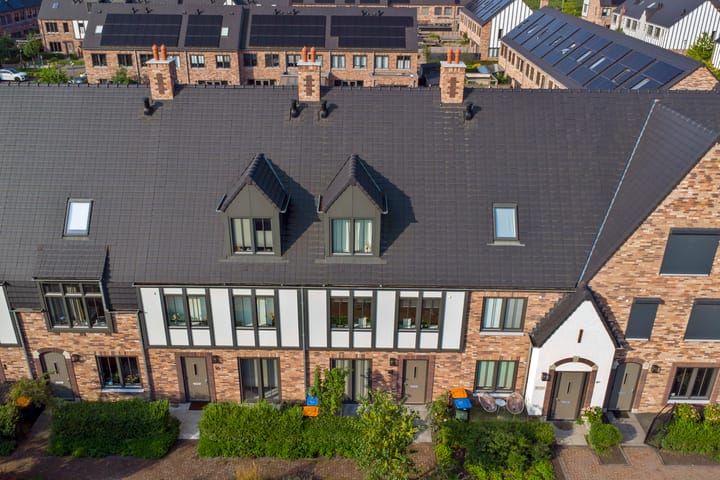 Foto 37 van Beekforel 18