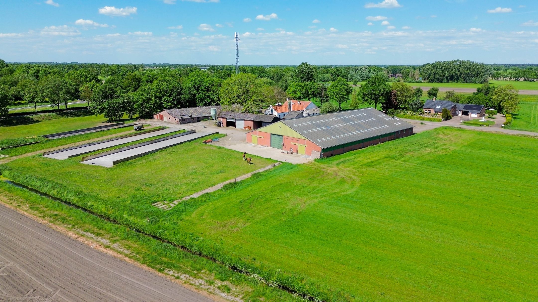 Foto 3 van Buizerdweg 2