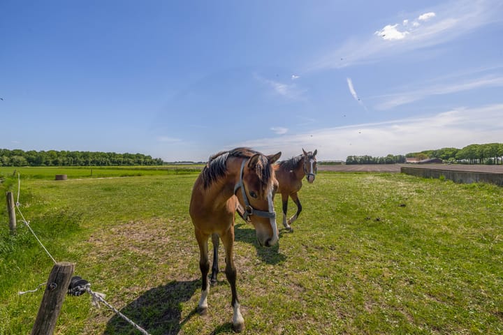 Photo 38 of Buizerdweg 2