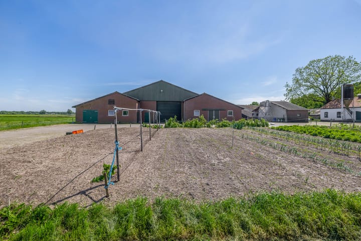 Photo 39 of Buizerdweg 2