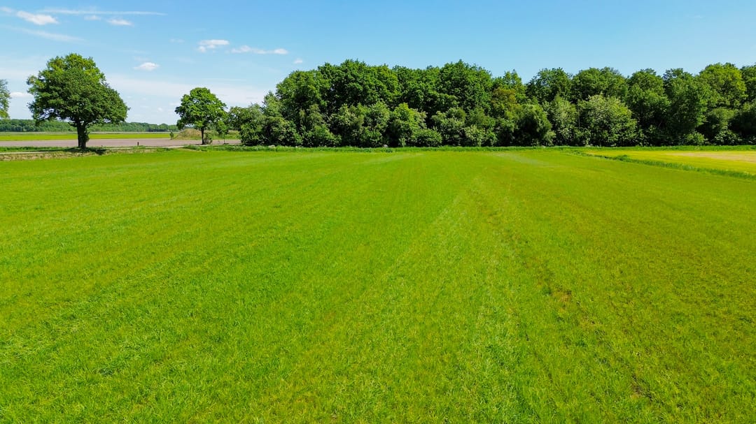 Foto 41 van Buizerdweg 2