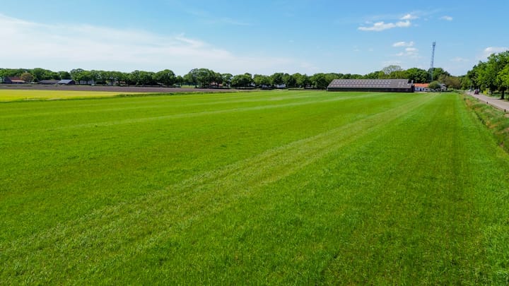 Photo 42 of Buizerdweg 2