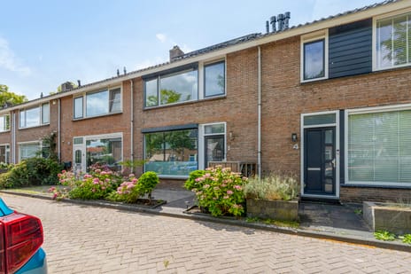 undefined main image