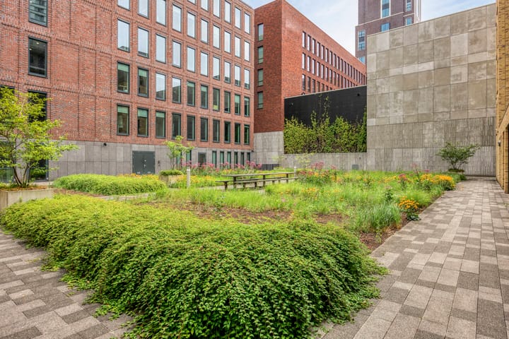 Foto 24 van Spiegeltuin 44