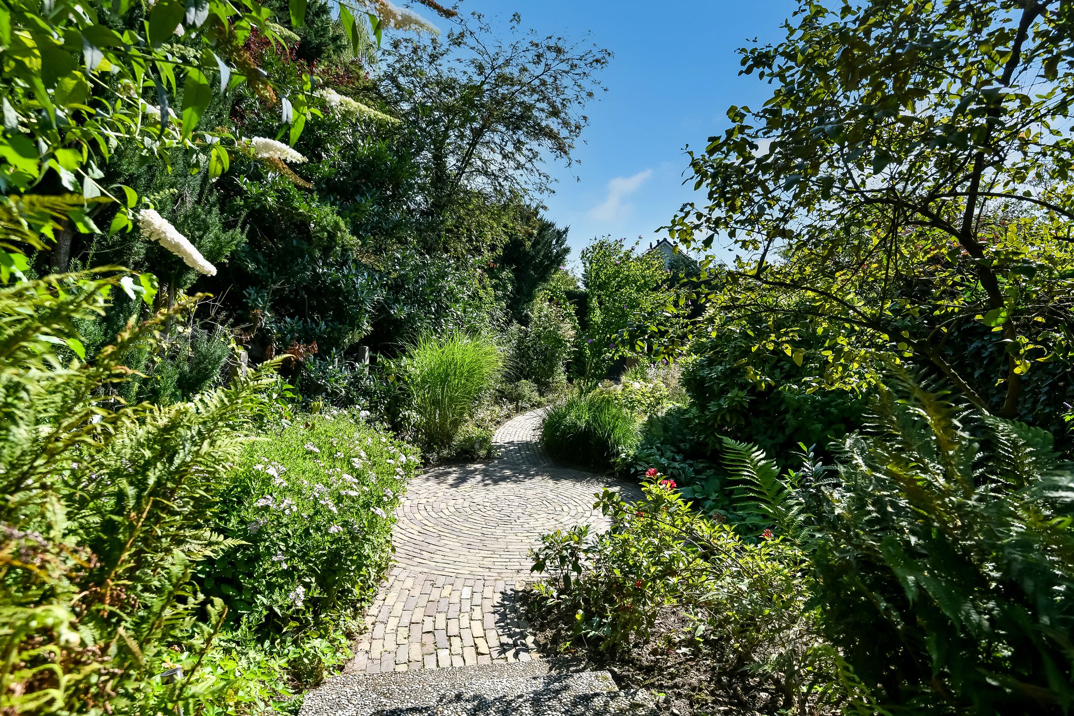 Photo 42 of Rijksweg-Noord 32