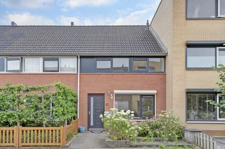 Foto 1 van Palissade 82